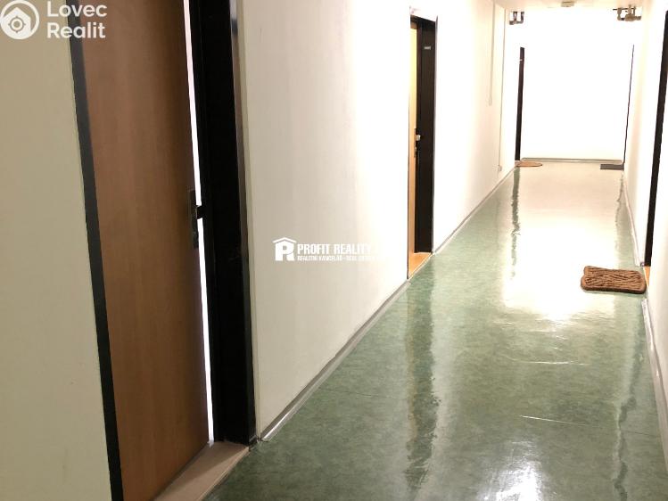 Rent apartment 1+KK Praha, Štúrova 1701/55 č. 10
