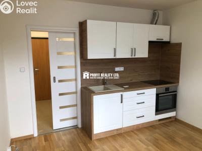 Оренда квартири 1+KK Praha, Štúrova č. 16