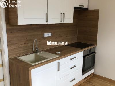 Rent apartment 1+KK Praha, Štúrova č. 1