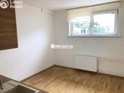 Rent apartment 1+KK Praha, Štúrova č. 4