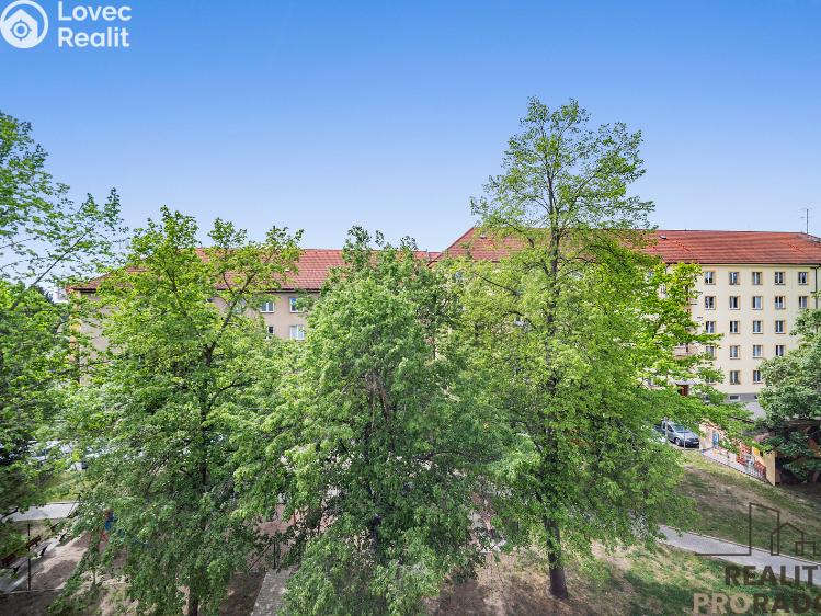 Prodej bytu 3+1 Pardubice, Pichlova č. 13