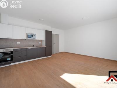 Rent apartment 1+KK Třebíč č. 6