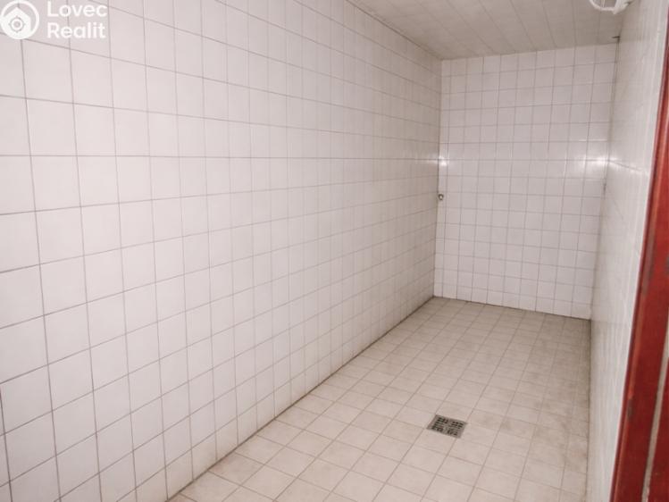 Prodej výrobní haly Strašice č. 23