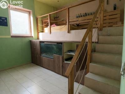 Продажа производственного цеха Strašice č. 19