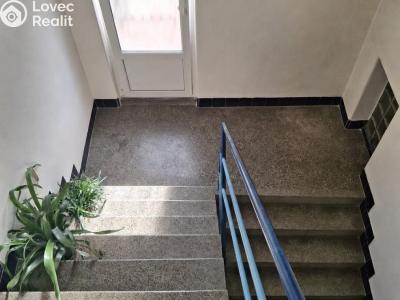 Sale multi-gen house Mýto, Letná II 464 č. 19