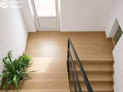 Sale multi-gen house Mýto, Letná II 464 č. 20