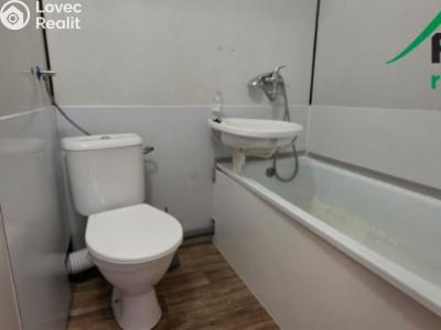 Pronájem bytu 3+1 Stříbro, Mánesova č. 10