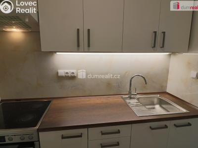 Pronájem bytu 1+KK Kamenice, Sídliště II č. 6