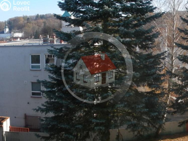 Pronájem bytu 3+1 Třešť, Barvířská č. 15