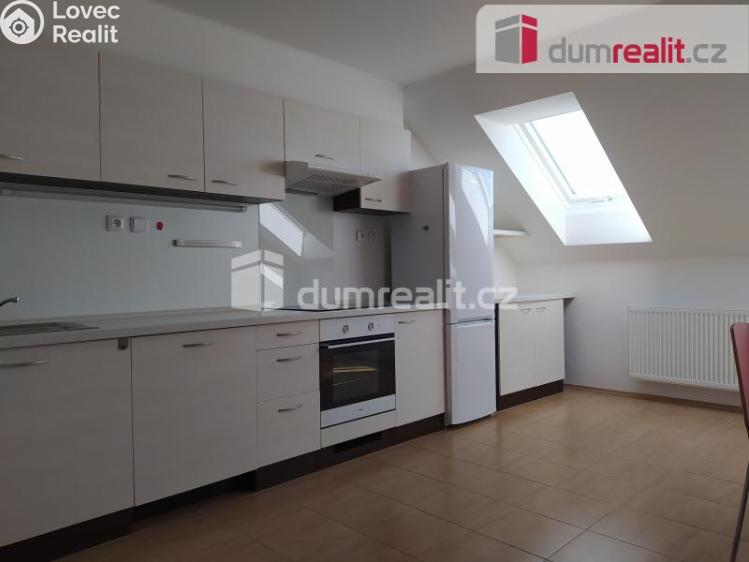 Pronájem bytu 2+1 České Budějovice, Ledenická č. 1