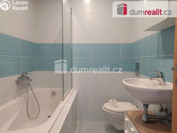 Pronájem bytu 2+1 České Budějovice, Ledenická č. 6