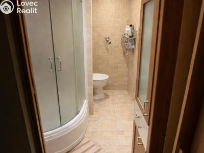 Продажа квартиры 2+KK Plzeň, Obchodní č. 7