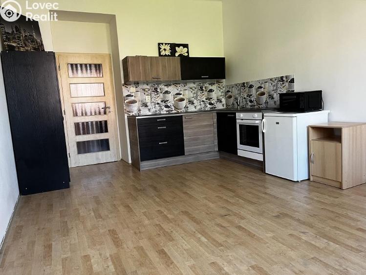 Pronájem bytu 1+KK Praha, Doudlebská 1046/8 č. 10