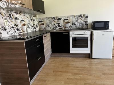 Pronájem bytu 1+KK Praha, Doudlebská č. 1