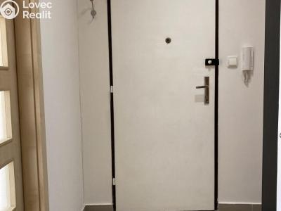 Pronájem bytu 1+KK Praha, Doudlebská č. 2