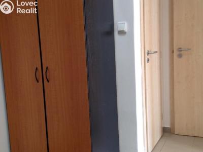 Pronájem bytu 1+KK Praha, Doudlebská č. 5