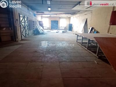 Prodej výrobní haly Děčín, Dělnická č. 18