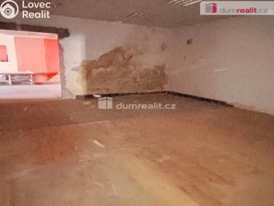 Prodej výrobní haly Děčín, Dělnická č. 20