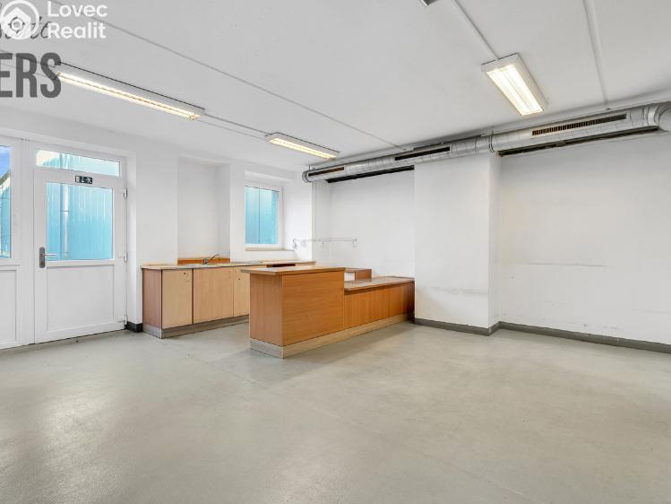 Pronájem skladového prostoru Jílové u Prahy č. 24