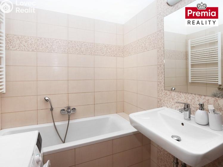 Pronájem bytu 1+1 Znojmo, Rumunská č. 3