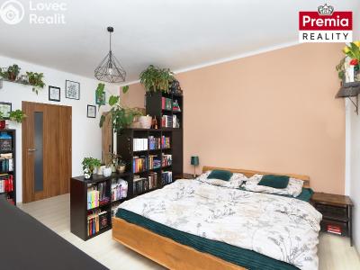 Pronájem bytu 1+1 Znojmo, Rumunská č. 5