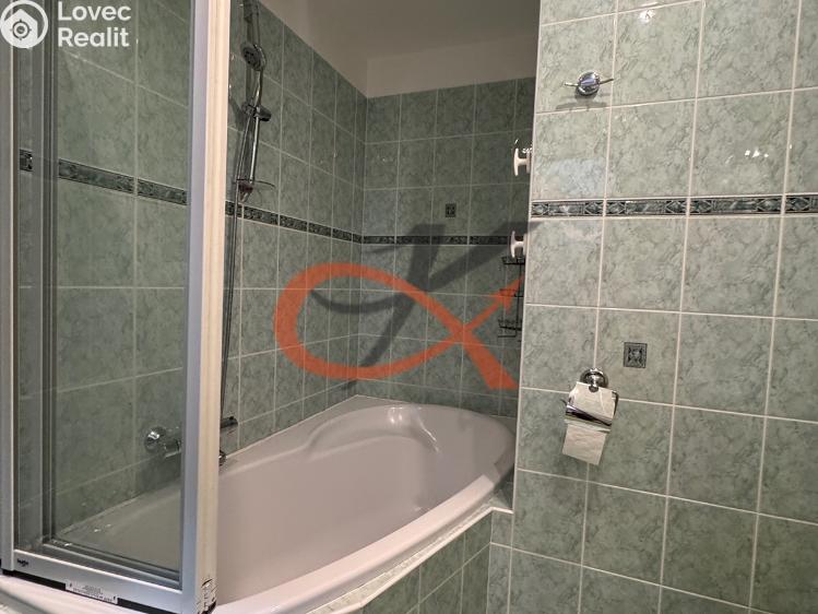 Pronájem bytu 2+1 Rožnov pod Radhoštěm, Kulturní č. 8