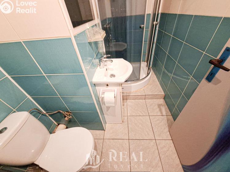 Rent apartment 1+KK Chomutov, Březenecká č. 3
