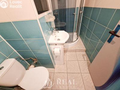 Rent apartment 1+KK Chomutov, Březenecká č. 3