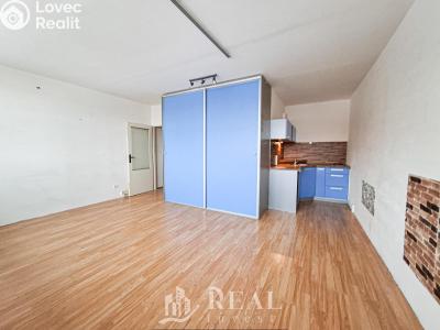 Rent apartment 1+KK Chomutov, Březenecká č. 5
