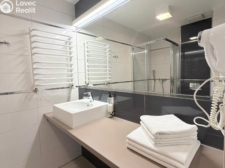 Prodej apartmánů Dolní Morava č. 19