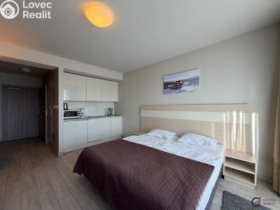 Prodej apartmánů Dolní Morava č. 2