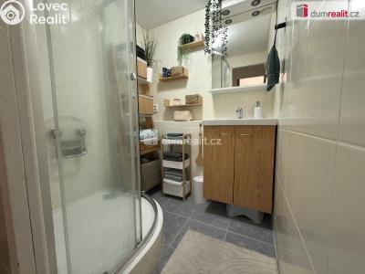 Pronájem bytu 2+1 Ústí nad Labem, Mošnova č. 6