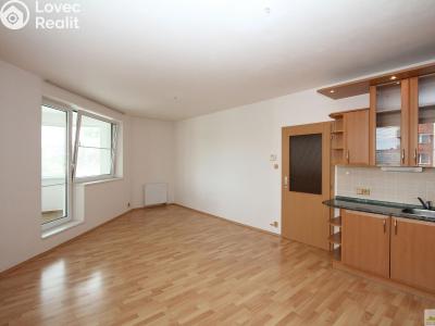 Pronájem bytu 2+KK Pardubice, nábřeží Závodu míru 2738 č. 6
