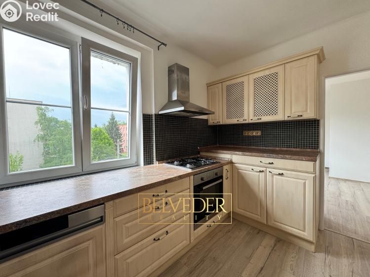 Rent apartment 3+KK Ústí nad Labem, Klíšská 650/84 č. 20