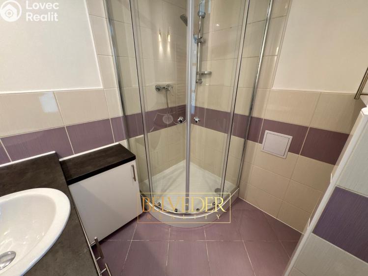 Rent apartment 3+KK Ústí nad Labem, Klíšská 650/84 č. 5