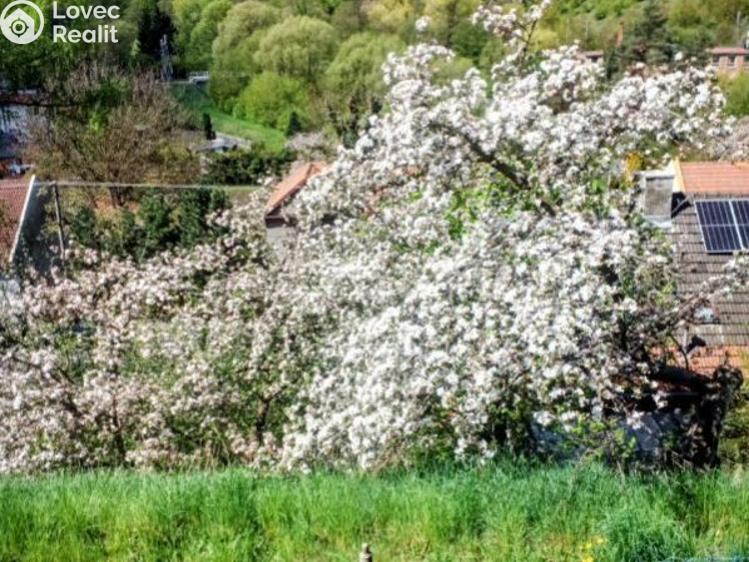 Продажа семейного дома Březová nad Svitavou, Hradčín č. 27