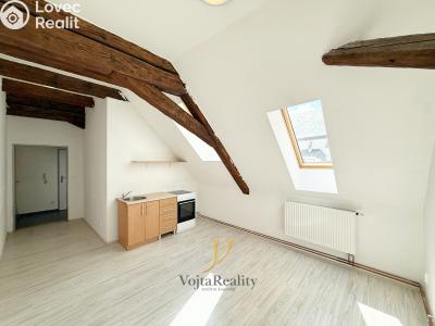Аренда квартиры 1+KK Olomouc, Zámečnická č. 11