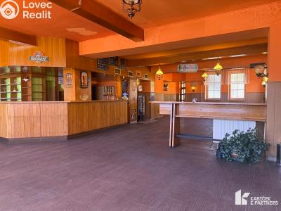 Rent commercial space Kopřivnice, Štefánikova č. 2