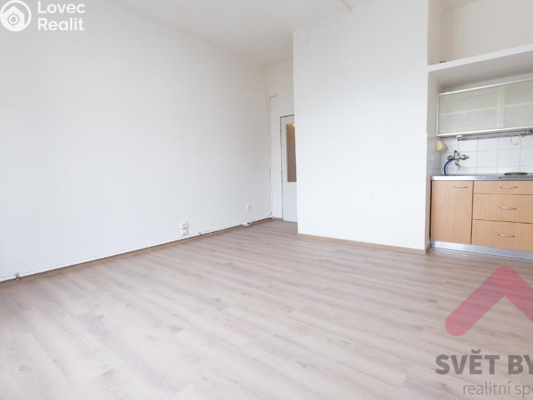 Pronájem bytu 1+KK Praha, Tolstého 1010/2 č. 2