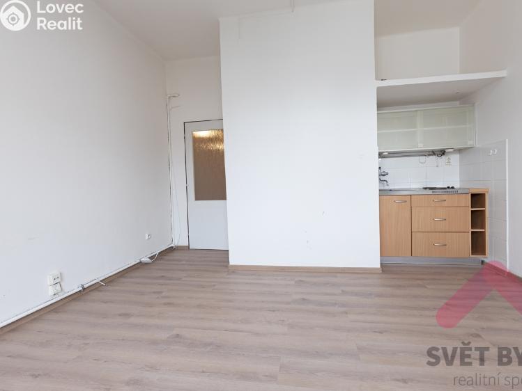 Pronájem bytu 1+KK Praha, Tolstého 1010/2 č. 3