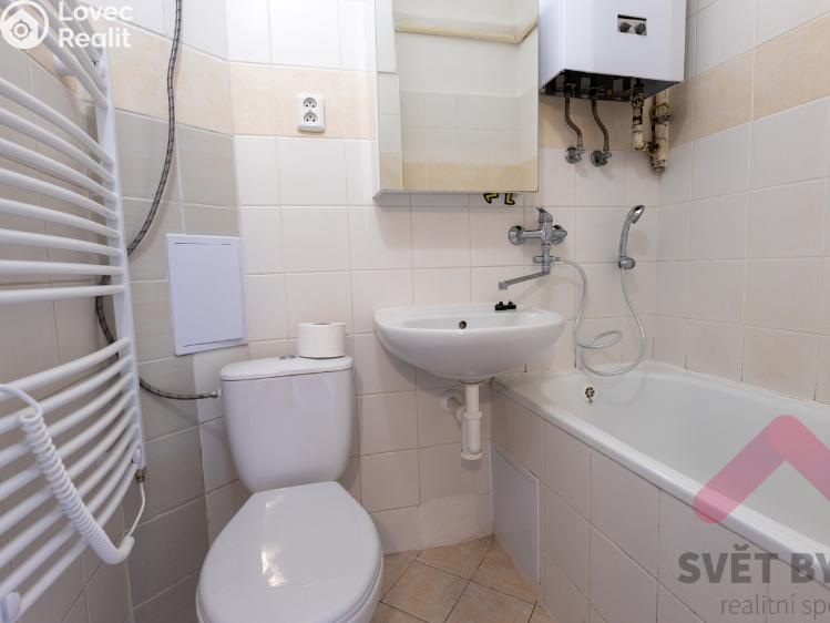 Pronájem bytu 1+KK Praha, Tolstého 1010/2 č. 6