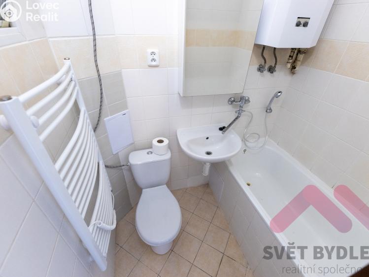 Pronájem bytu 1+KK Praha, Tolstého 1010/2 č. 7