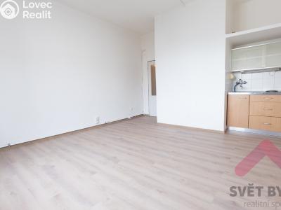 Pronájem bytu 1+KK Praha, Tolstého č. 2