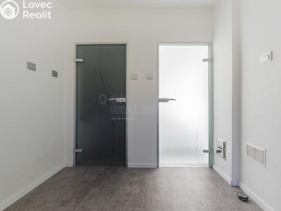 Продаж сімейного будинку Svojšice č. 10
