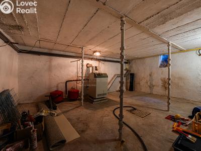 Продаж сімейного будинку Svojšice č. 30