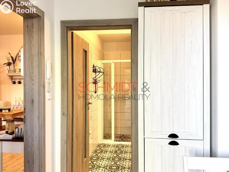 Rent apartment 1+KK Hustopeče, Brněnská 381/31 č. 8