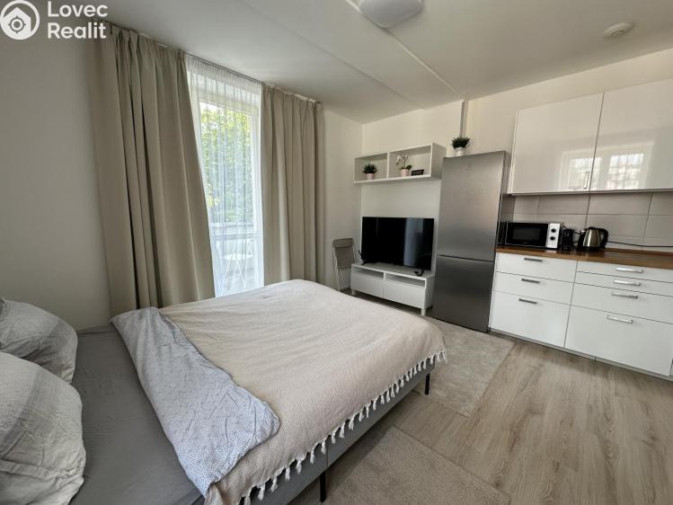Rent apartment 1+KK Praha č. 1