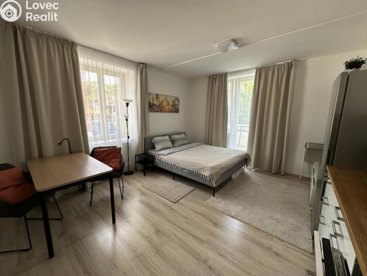 Rent apartment 1+KK Praha č. 2