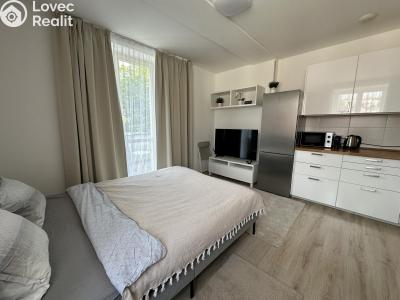 Rent apartment 1+KK Praha č. 1