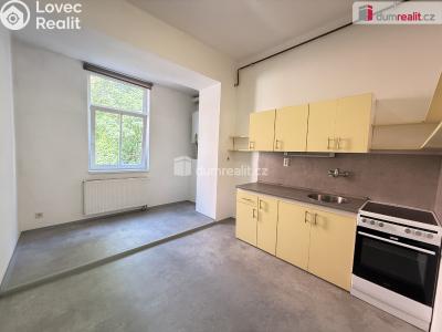 Pronájem bytu 1+1 Ústí nad Labem, Šaldova č. 1